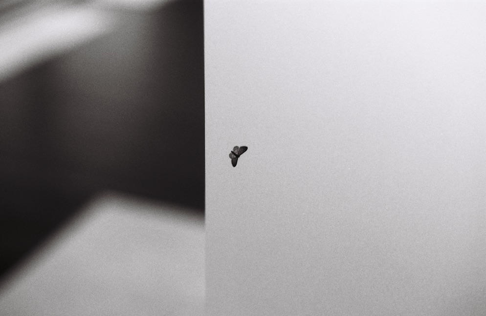 Stills
 | Berlin Studio Moth


